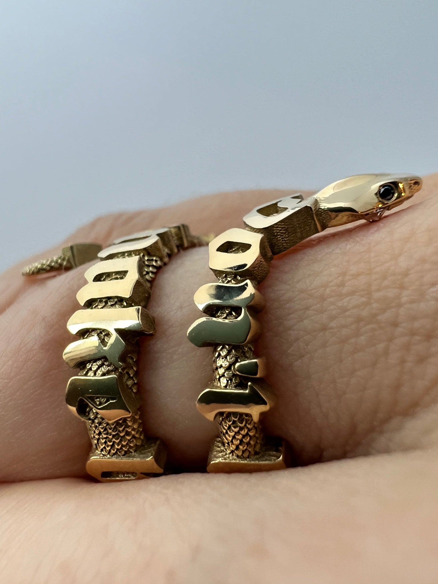 IN STOCK ‘Don’t let the same snake bite you twice’ ring