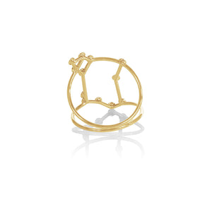 IN STOCK 18ct Yellow Gold Pisces Constellation Ring