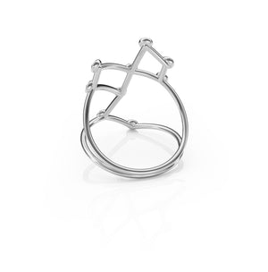 Monoceros/Unicorn Constellation Ring